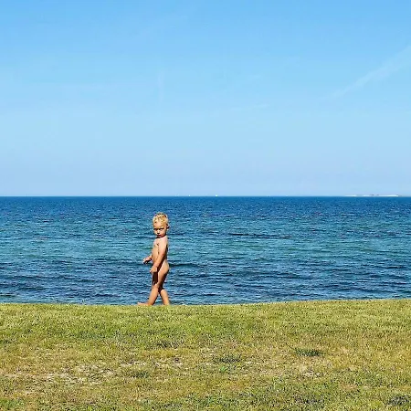 Holiday Iii